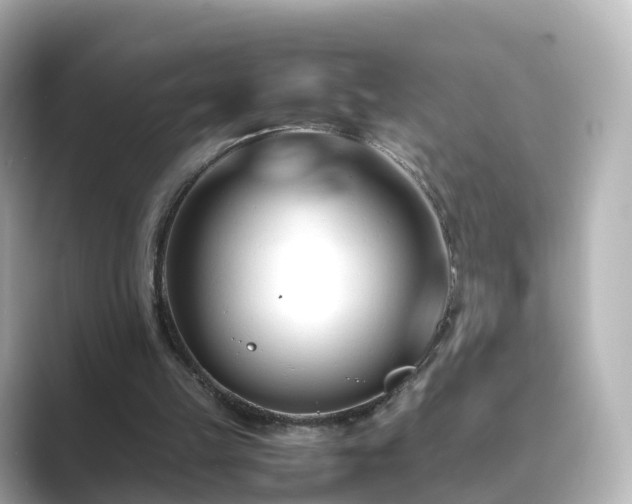 X0000089410149200706221141