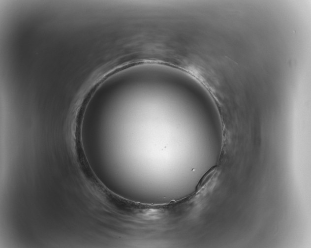 X0000089410151200706221141