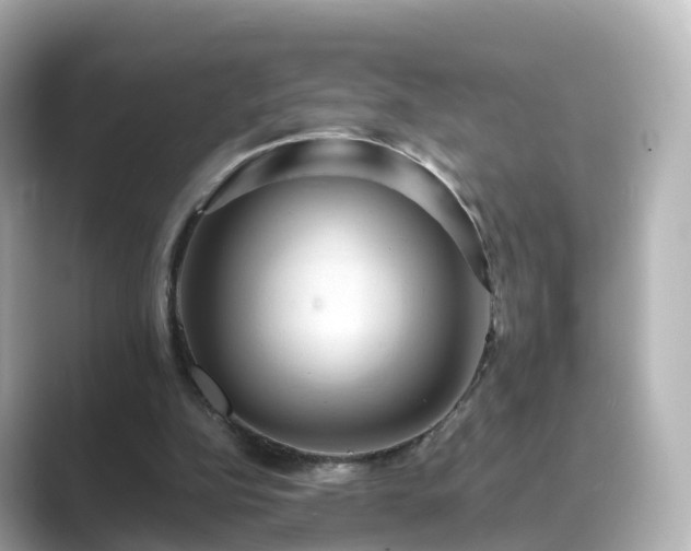 X0000089410152200706221141
