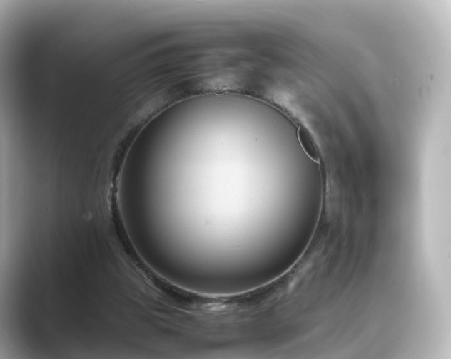 X0000089410153200706221141