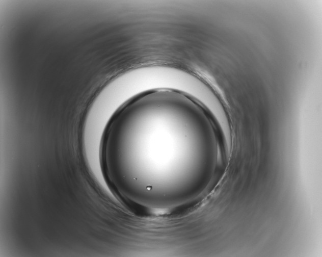 X0000089410154200706221141