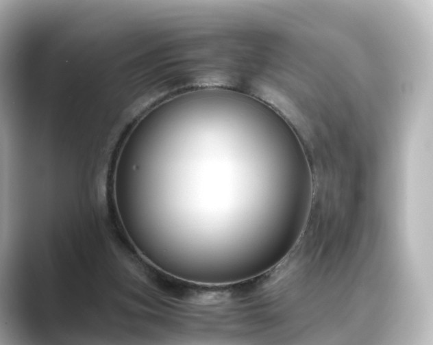 X0000089410155200706221141