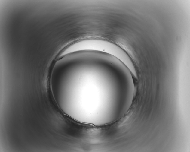 X0000089410156200706221141