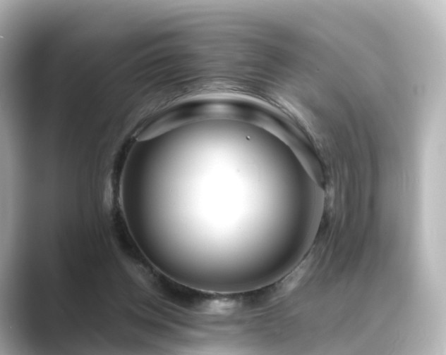 X0000089410158200706221141