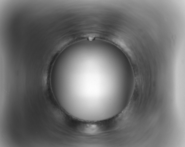 X0000089410159200706221141