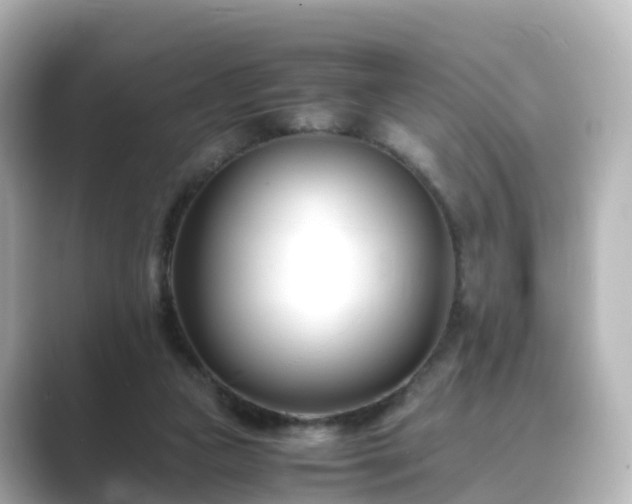 X0000089410161200706221141