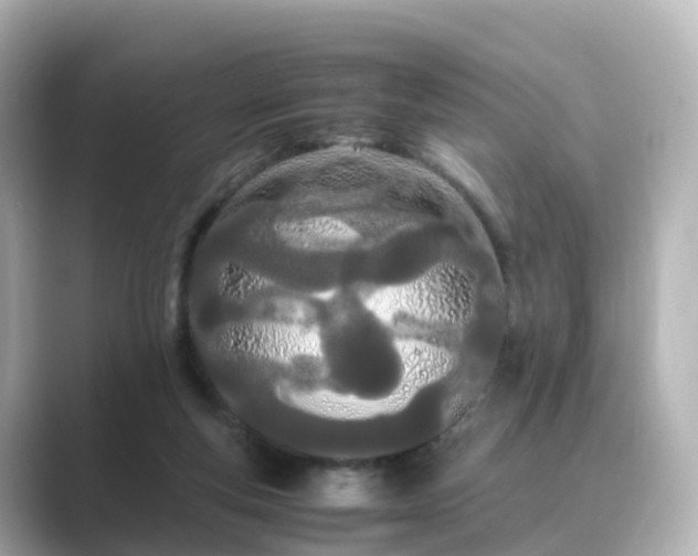 X0000089410163200706221141