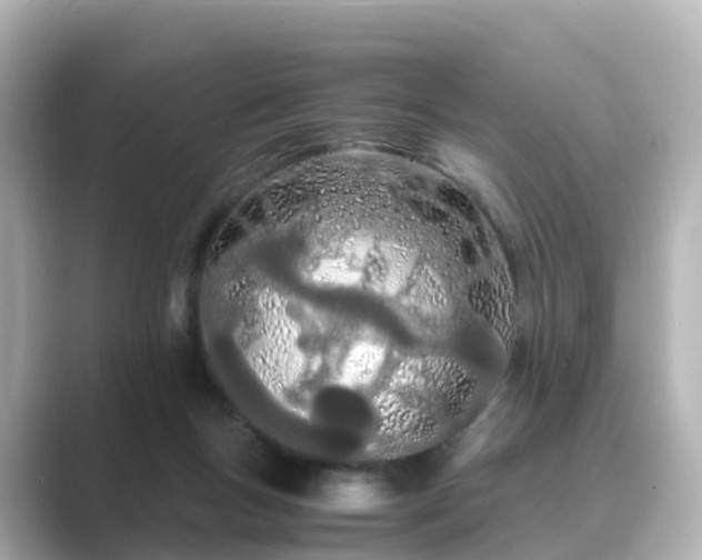 X0000089410167200706221141