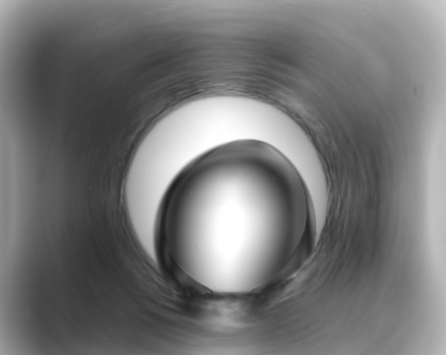 X0000089410168200706221142