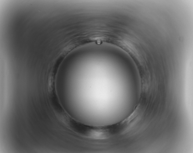 X0000089410171200706221142