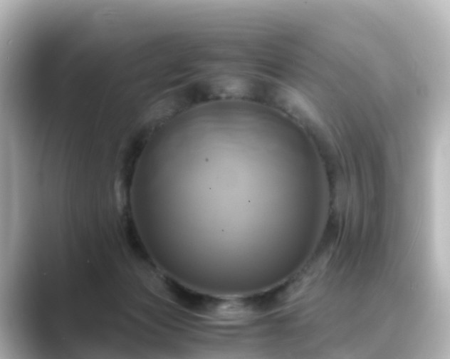 X0000089410173200706221142