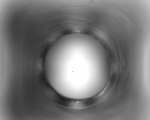 X0000089410174200706221142