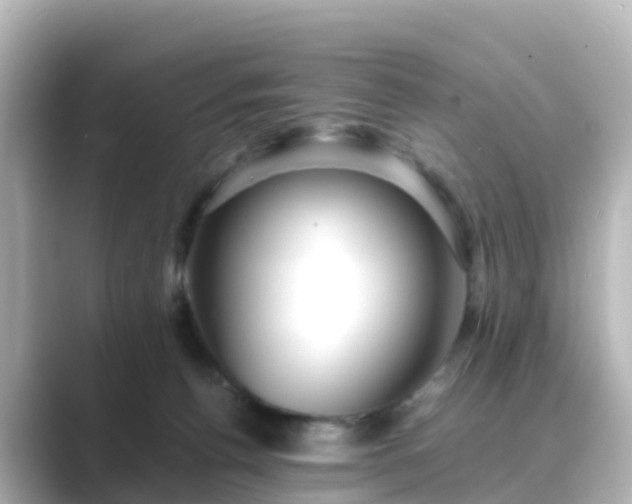 X0000089410176200706221142