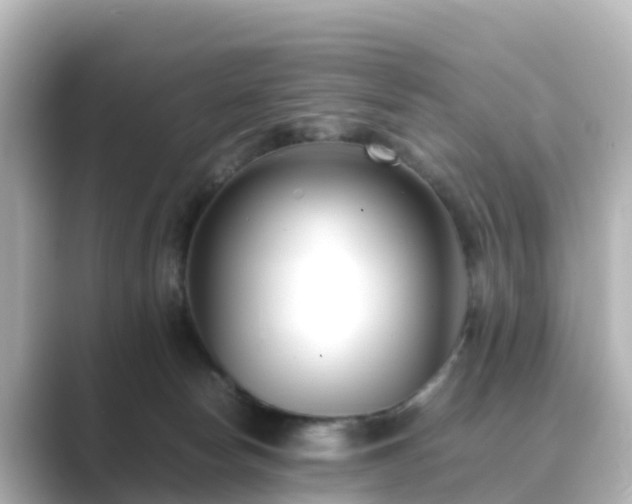 X0000089410178200706221142