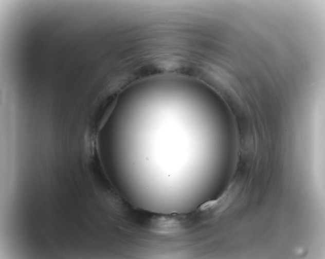 X0000089410180200706221142