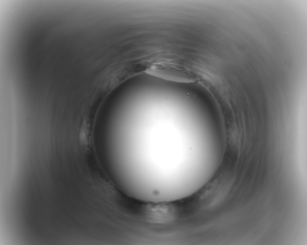 X0000089410181200706221142