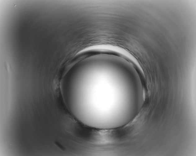 X0000089410184200706221142
