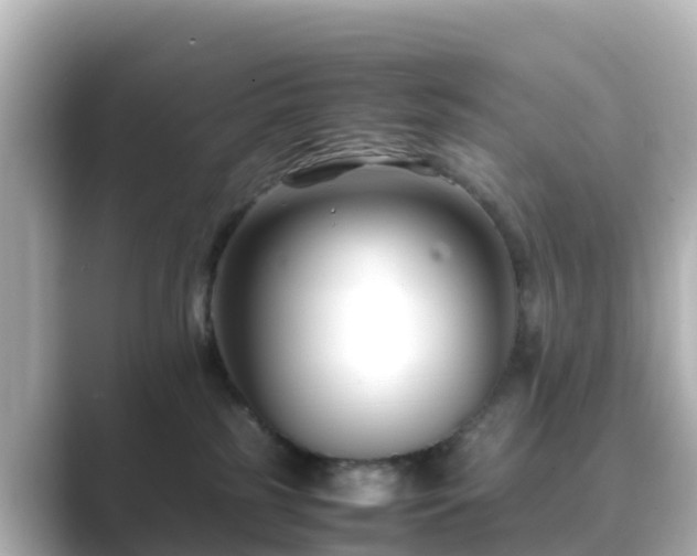X0000089410185200706221142