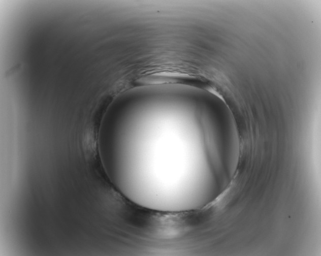 X0000089410186200706221142