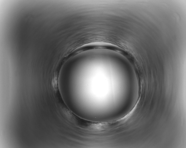 X0000089410190200706221142