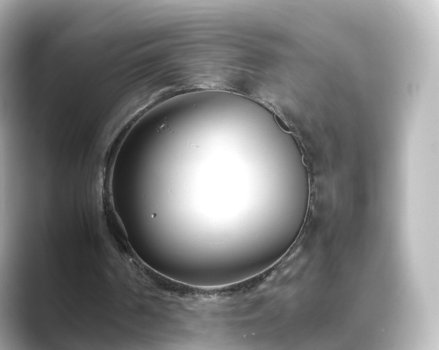 X0000089410194200706221141