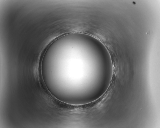 X0000089410196200706221141