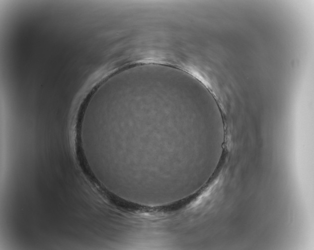 X0000089410199200706221141