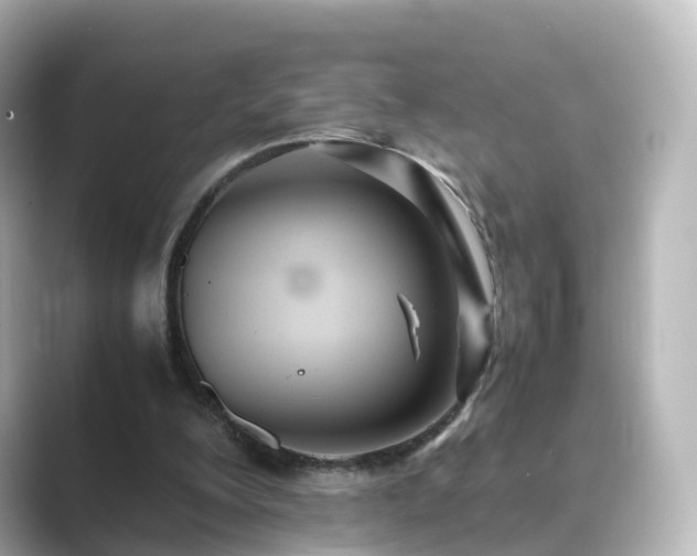 X0000089410200200706221141