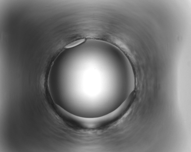 X0000089410201200706221141