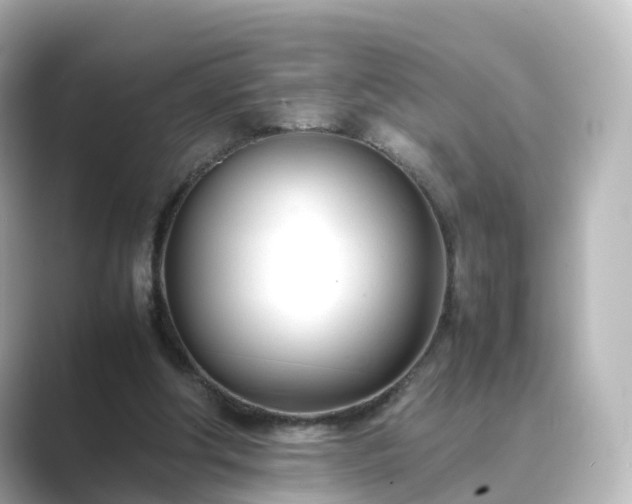 X0000089410202200706221141