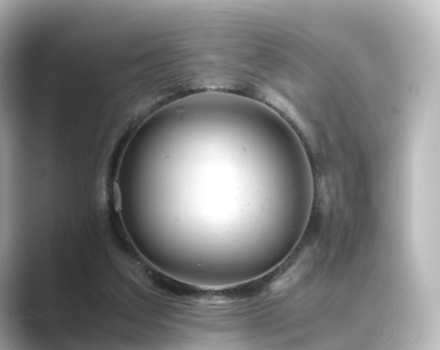 X0000089410203200706221141