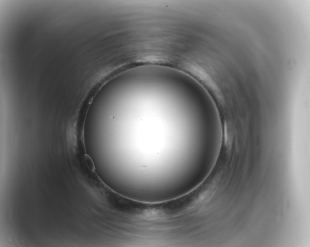 X0000089410204200706221141