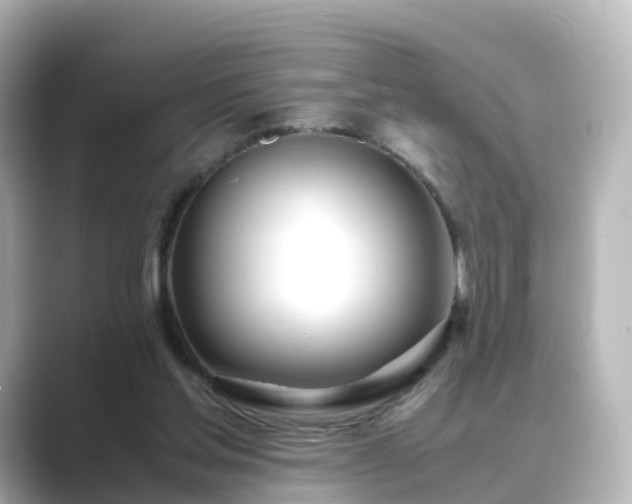 X0000089410205200706221141