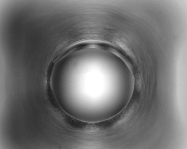 X0000089410207200706221141