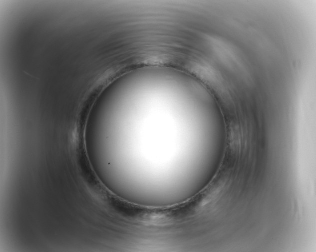 X0000089410208200706221141