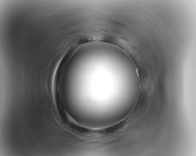 X0000089410209200706221141
