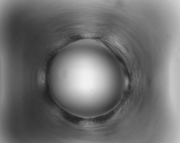 X0000089410211200706221141
