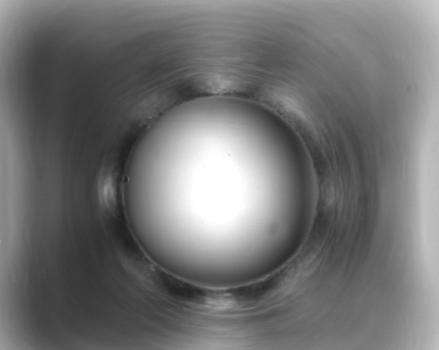 X0000089410214200706221141