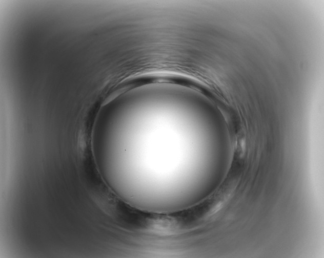 X0000089410215200706221141