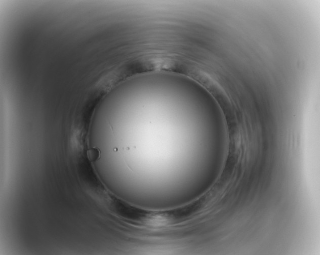 X0000089410218200706221141