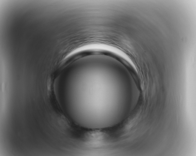 X0000089410219200706221141