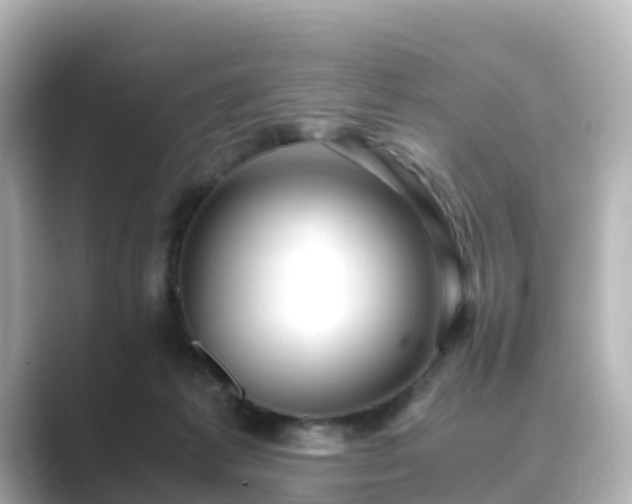 X0000089410221200706221141