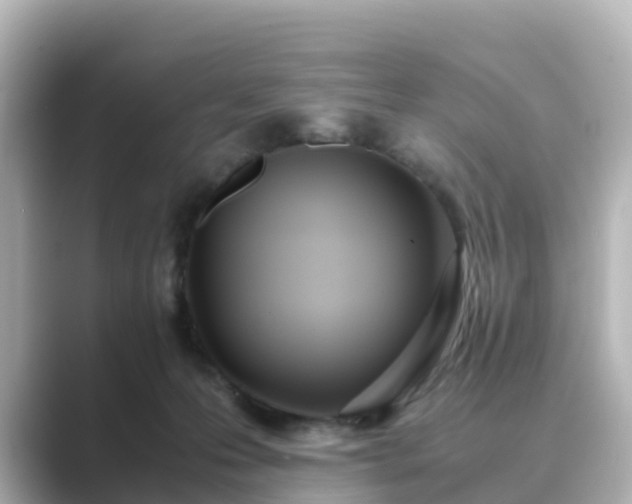 X0000089410223200706221141