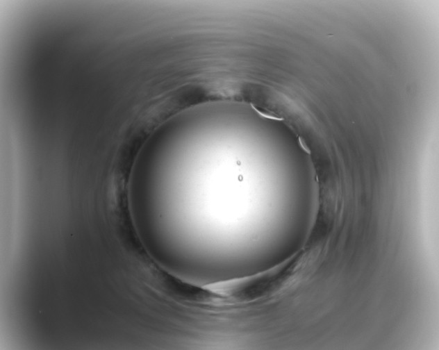 X0000089410229200706221141