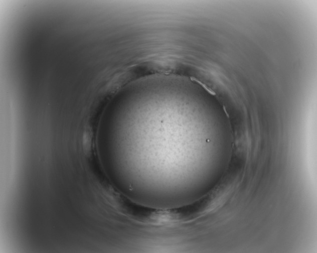 X0000089410231200706221141