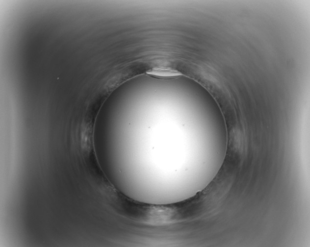 X0000089410234200706221141