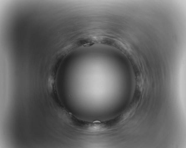 X0000089410235200706221141