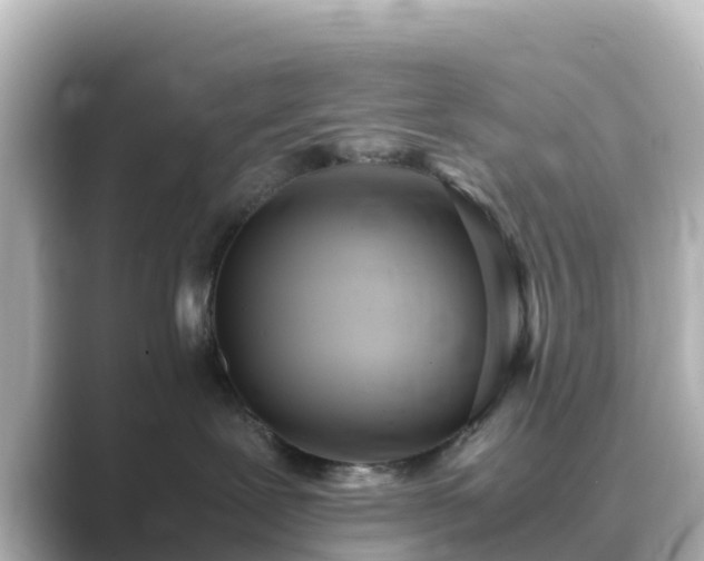 X0000089410239200706221141