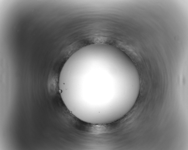X0000089410240200706221141