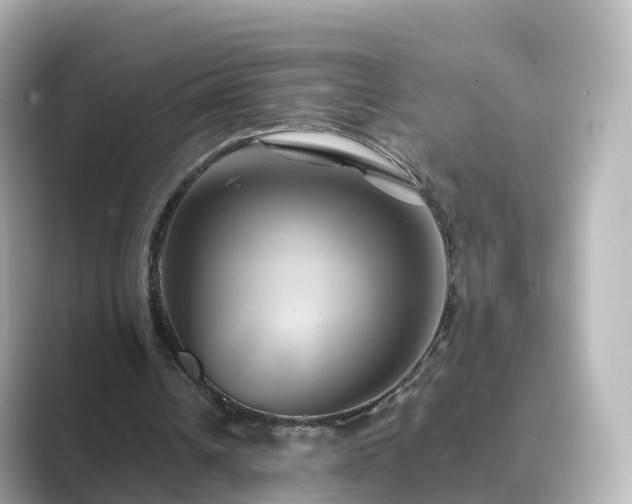 X0000089410242200706221140